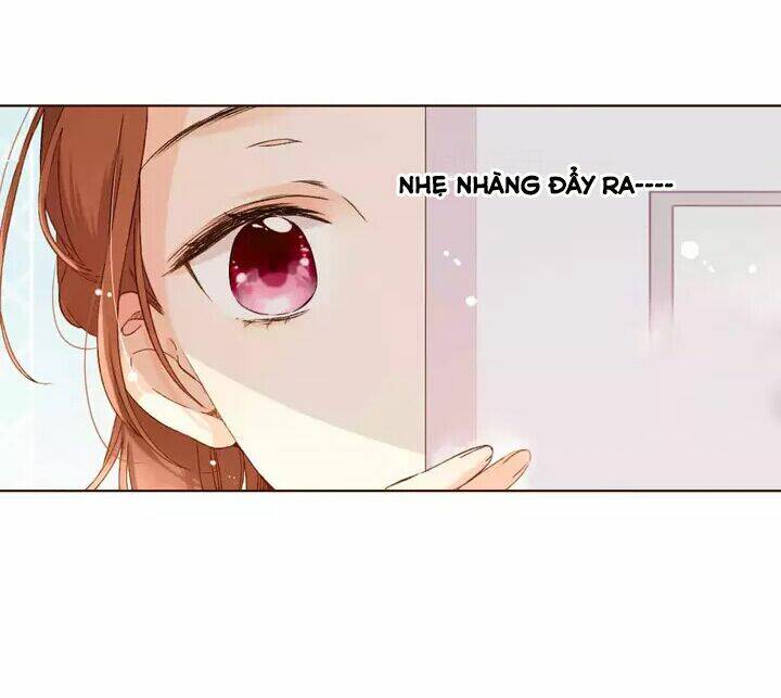 Tình Yêu Là Màu Hoa Anh Thảo: Chapter 29.1