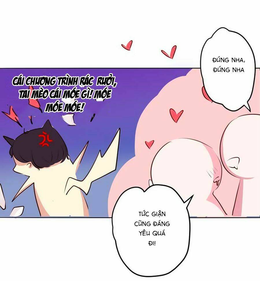 Bạn Trai Là Ngôi Sao: Chapter 19