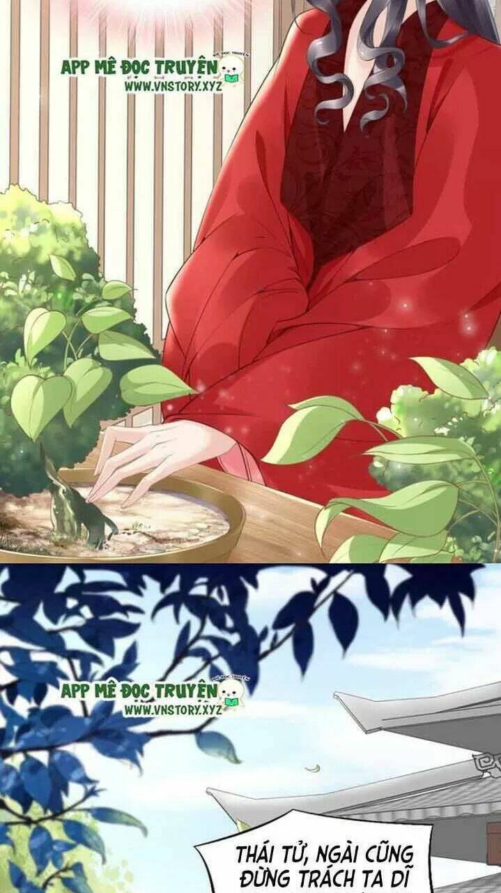 Nhất Sinh Nhất Thế Tiếu Thương Khung: Chapter 54