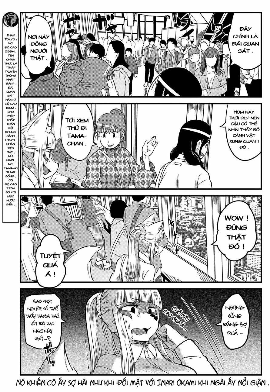 High School Inari Tamamo-Chan: Chapter 9