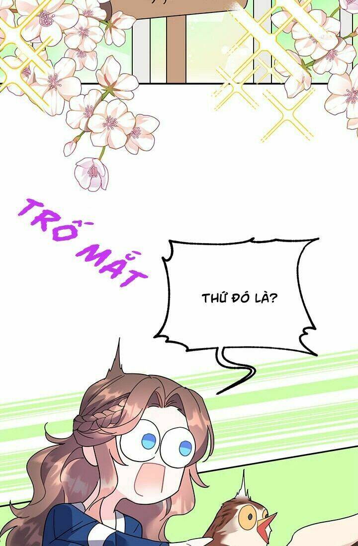 Công Chúa Của Loài Chim: Chapter 22