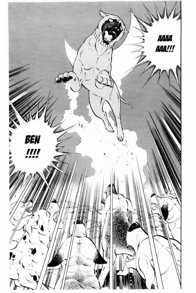 Chú Chó Có Nghĩa - Ginga Nagareboshi Gin: Chapter 30.2
