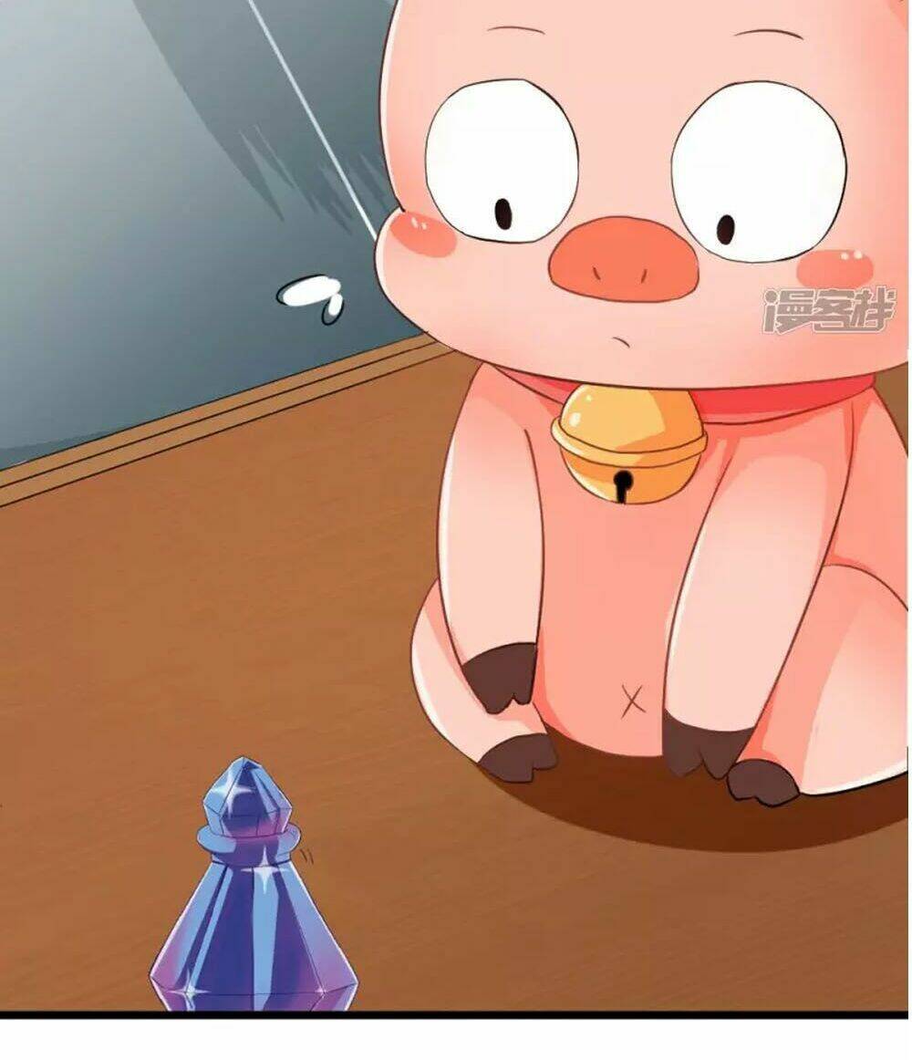 Đệ Tử Của Ta Là Heo: Chapter 4