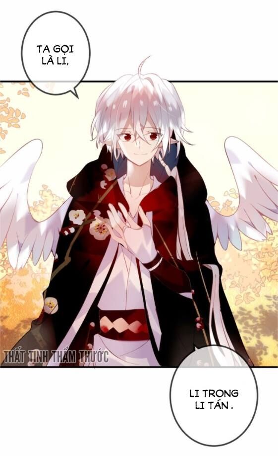 Ngô hoàng tại thượng: Chapter 31
