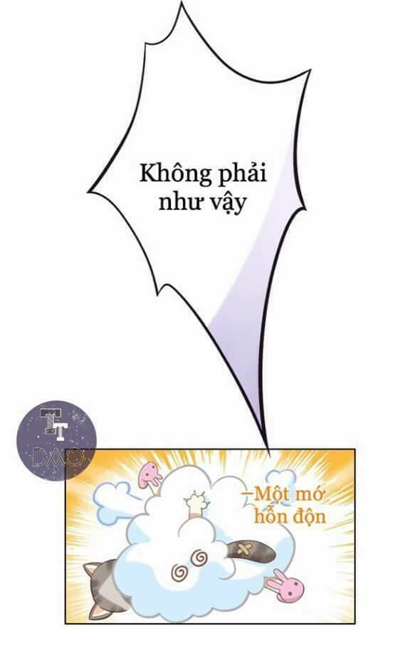 Dưới Móng Vuốt Mèo: Chapter 2