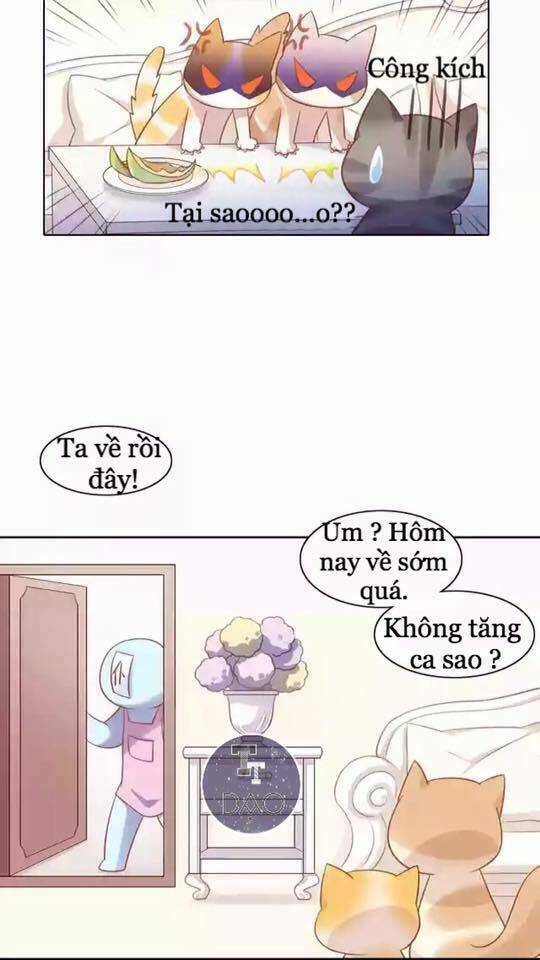 Dưới Móng Vuốt Mèo: Chapter 12