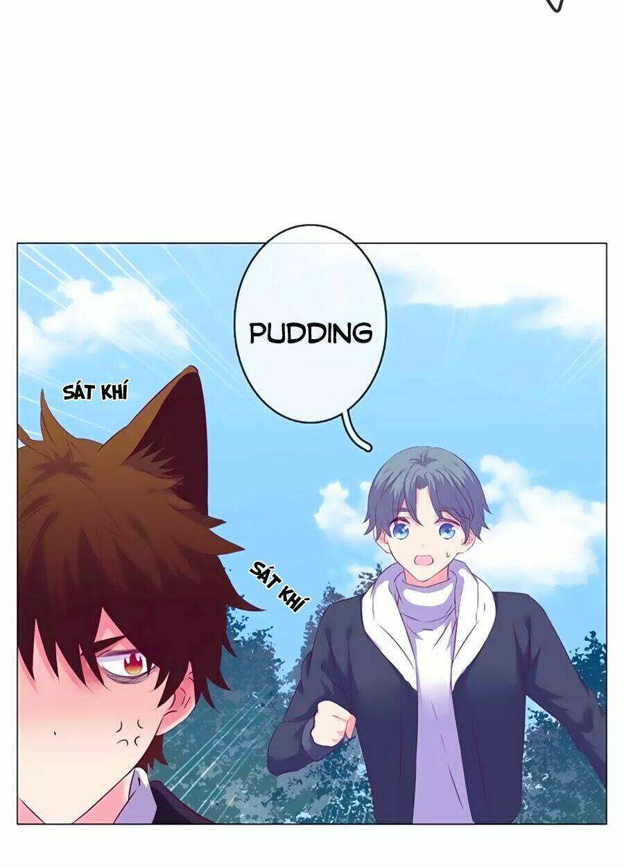 Đừng Nghịch, Ta Chỉ Muốn Yên Tĩnh: Chapter 43