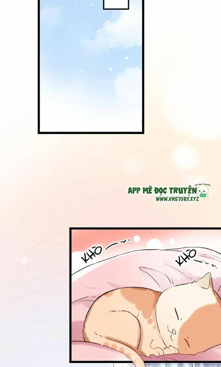 Trạch Thượng Tịch Mịch Huỳnh Hỏa: Chapter 28