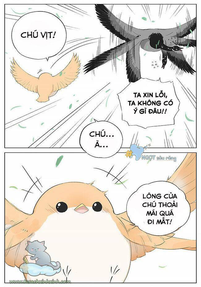Chim Sẻ Gọi Ngỗng Trời: Chapter 7