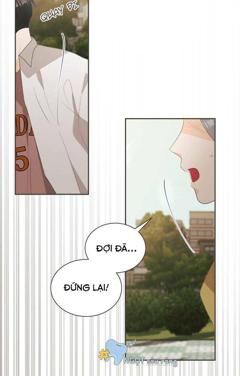 Giấc Mộng Đêm Hè: Chapter 6