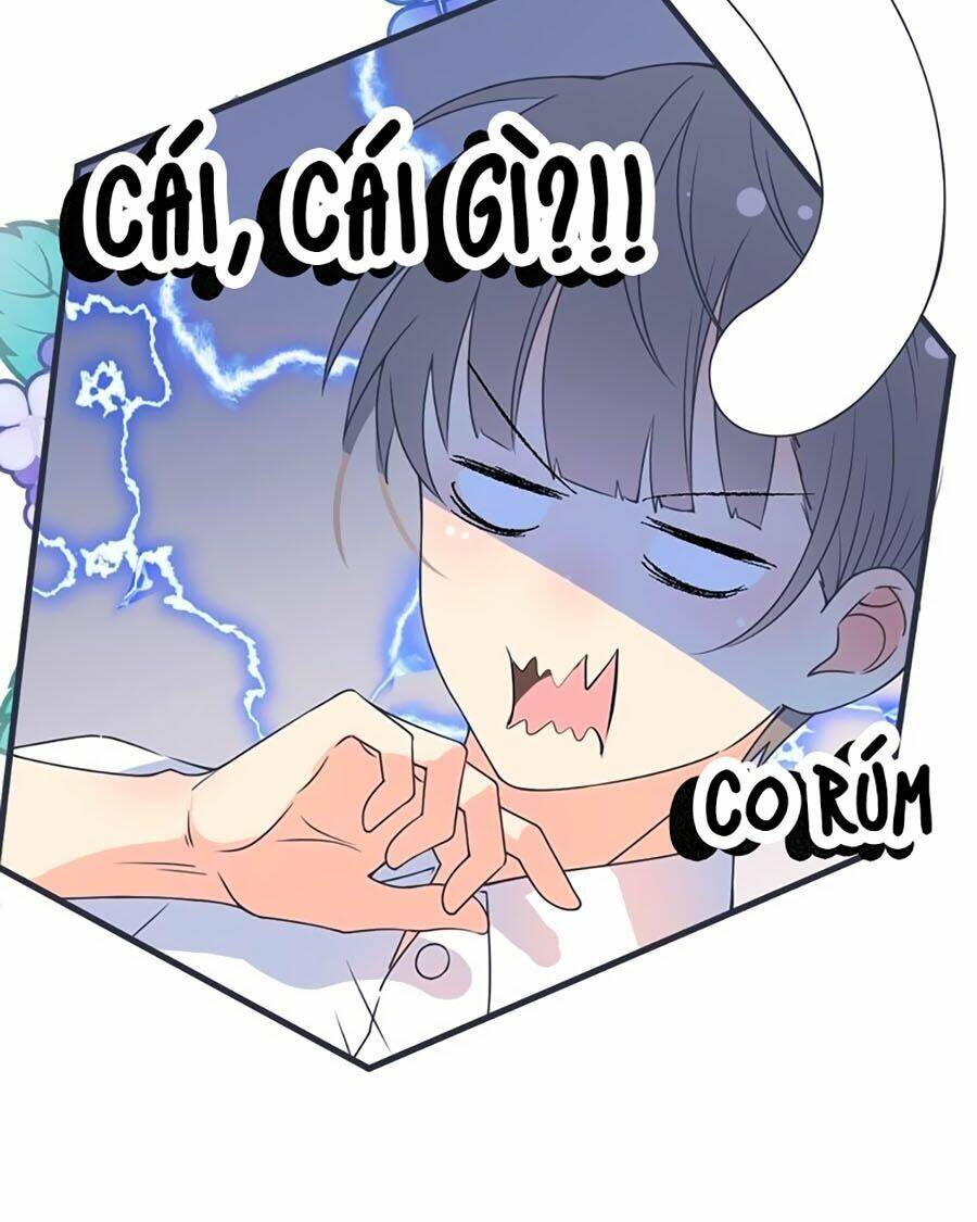 Quang Chi Vũ: Chapter 2.2