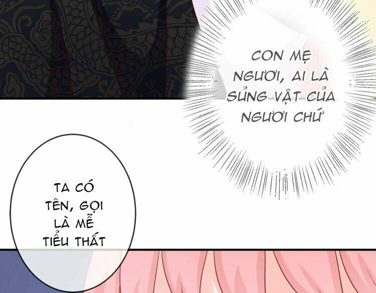 Báo Cáo Vương Gia, Vương Phi Là Một Con Mèo: Chapter 4