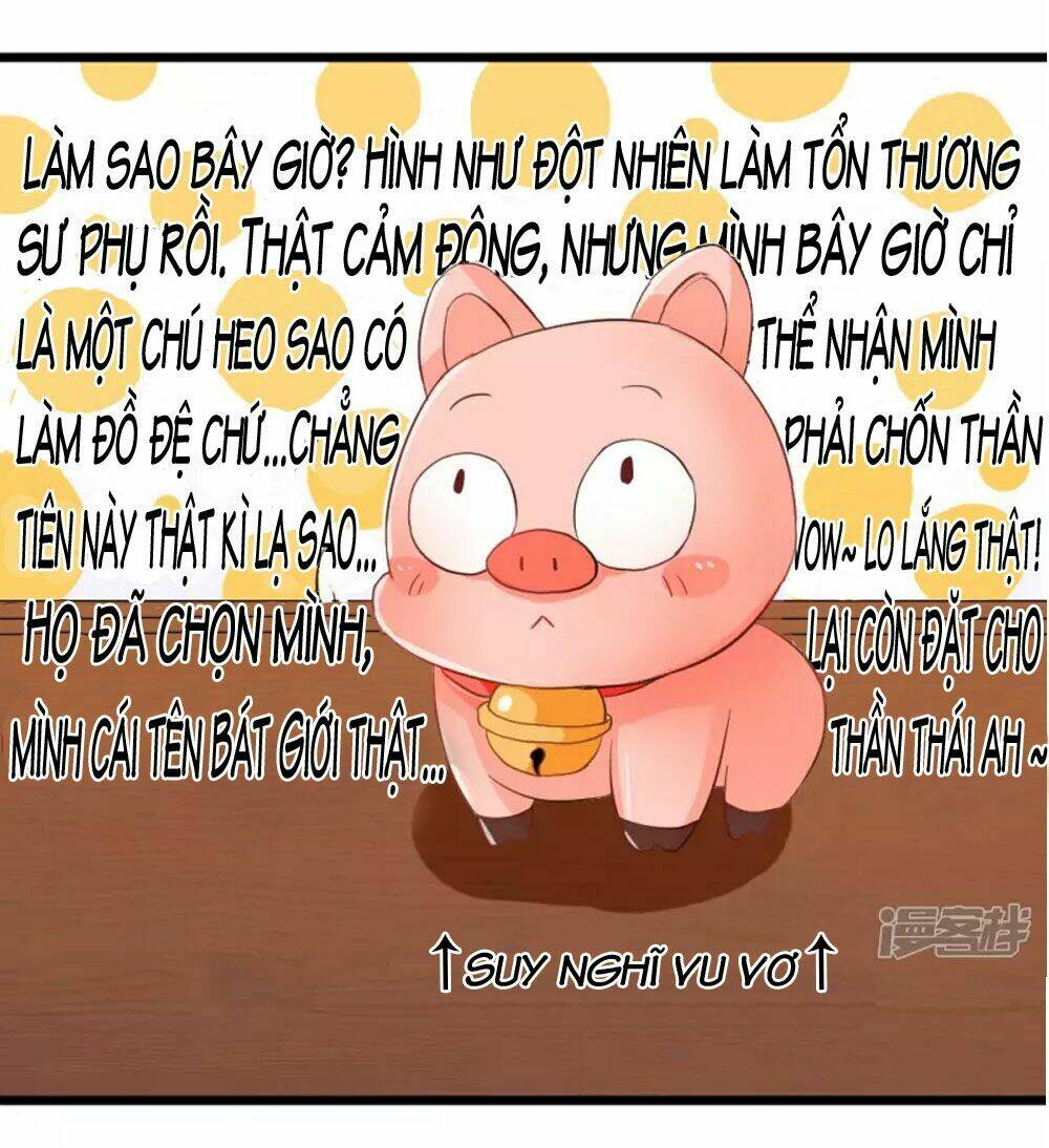 Đệ Tử Của Ta Là Heo: Chapter 4