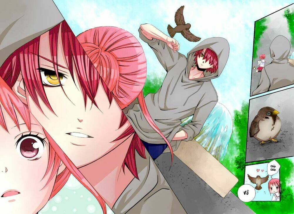 Cuộc Gặp Gỡ Diệu Kỳ: Chapter 28