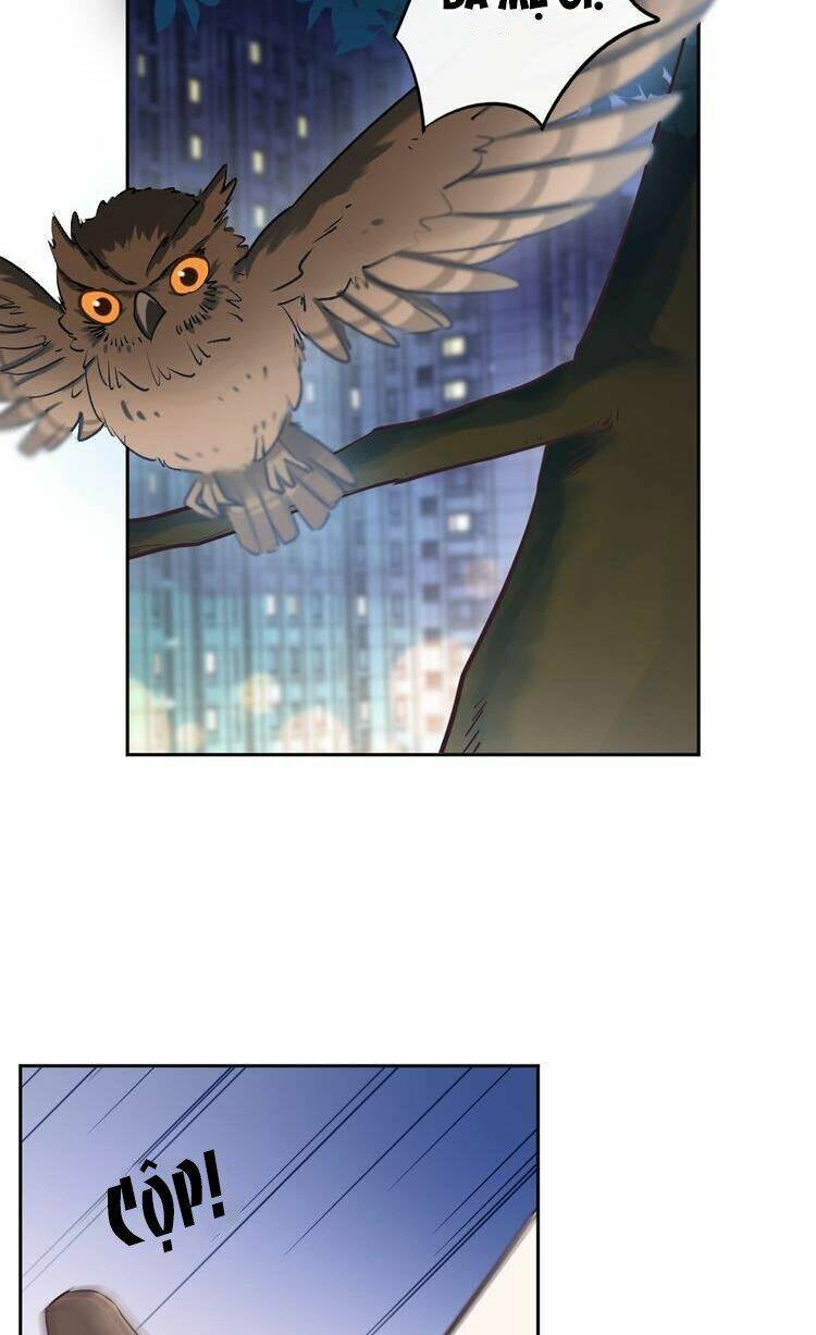 Cẩm Nang Tấn Công Tra Nam: Chapter 17