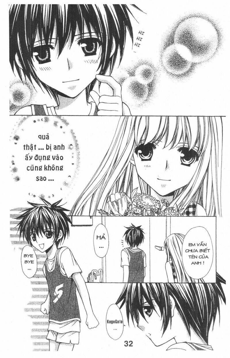 Trái Tim Kim Cương: Chapter 1