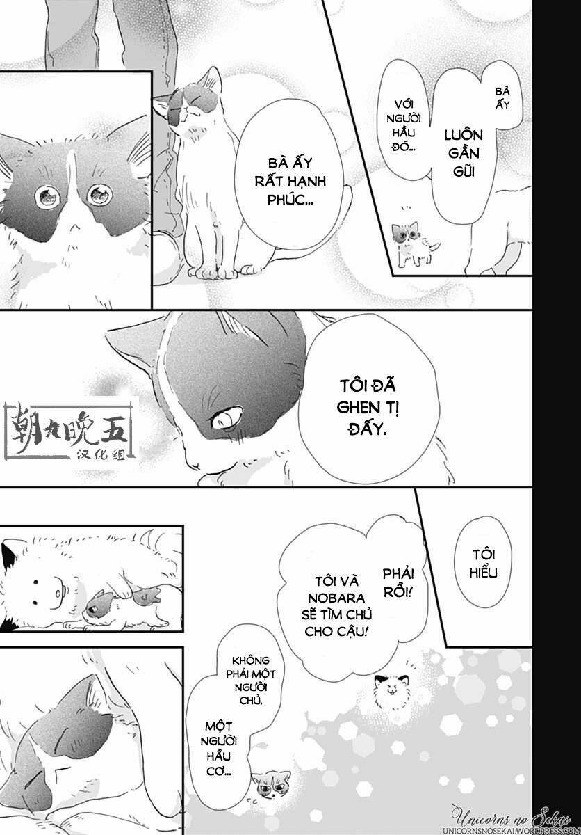 Kimi To Wonderland: Chapter 5