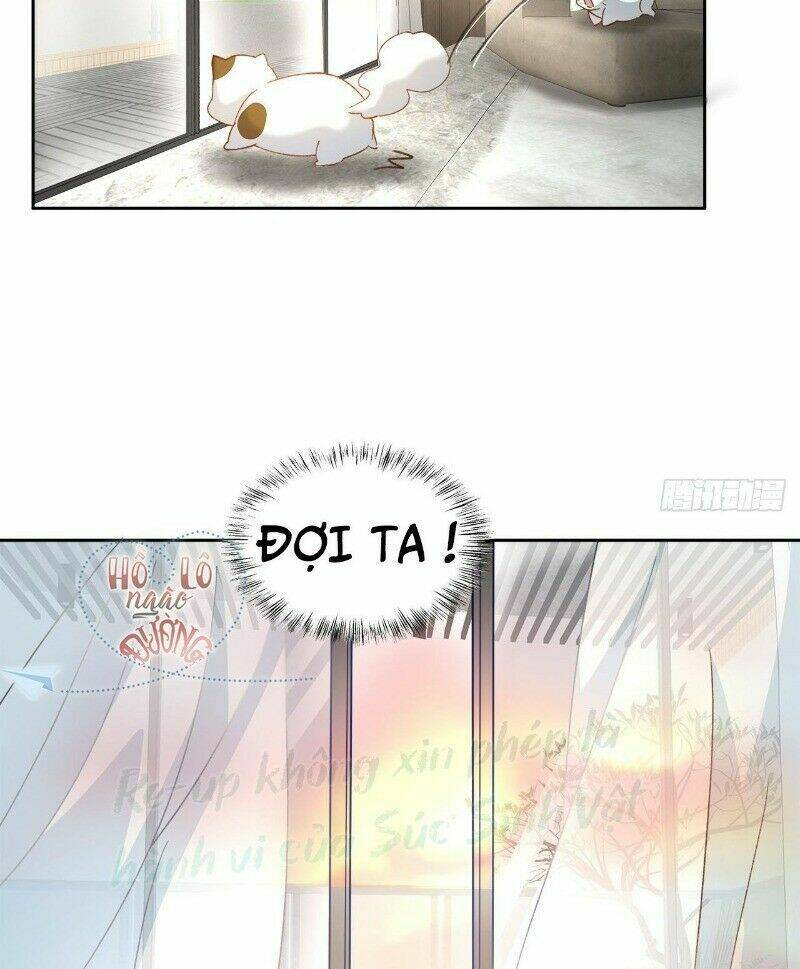 Ảnh Đế Yêu Hồ: Chapter 50