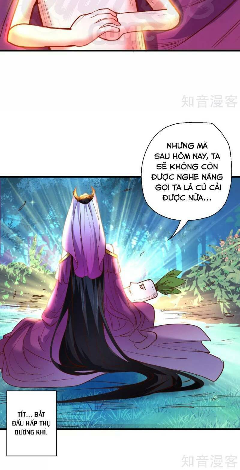 Tối Cường Đại Biểu Hoàng Kim Thận: Chapter 69