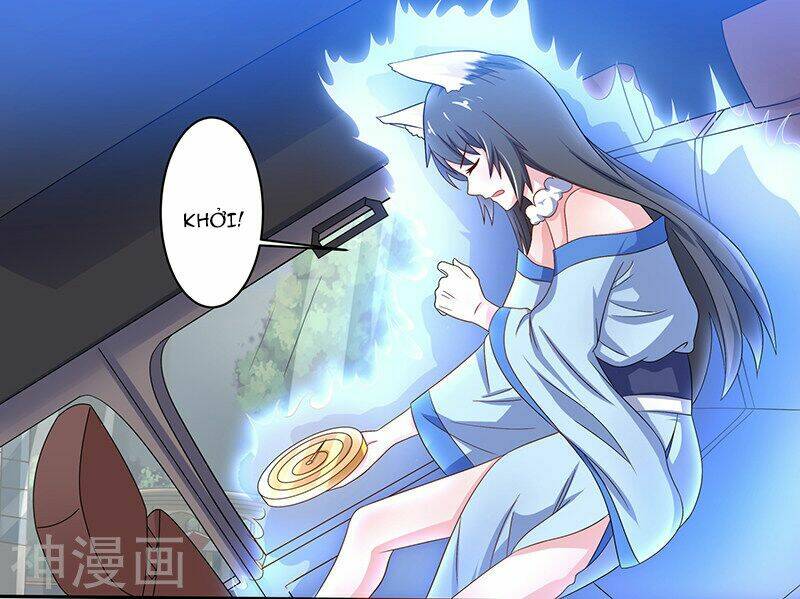 Quy Luật Năm Bản Mệnh Của Hồ Ly: Chapter 5