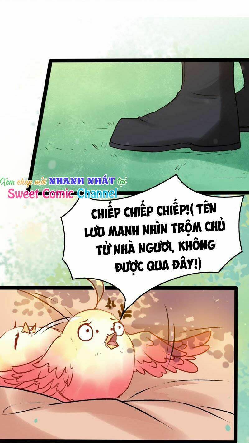 Thịnh Sủng Kiều Nữ Trở Về Triều Ca: Chapter 26