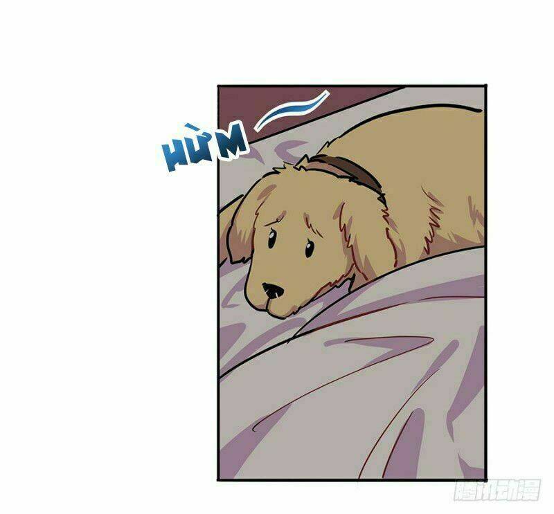 Ngôn Tình Nam Chính Không Thẳng Được: Chapter 7