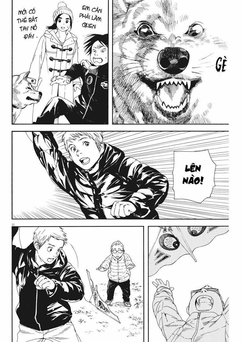 Neko No Otera No Chion-San: Chapter 62