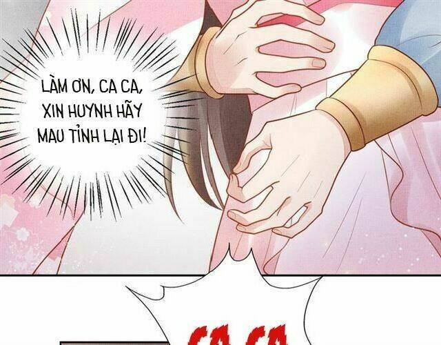 Thịnh Sủng Y Phi Chi Dao Quan Truyện: Chapter 42