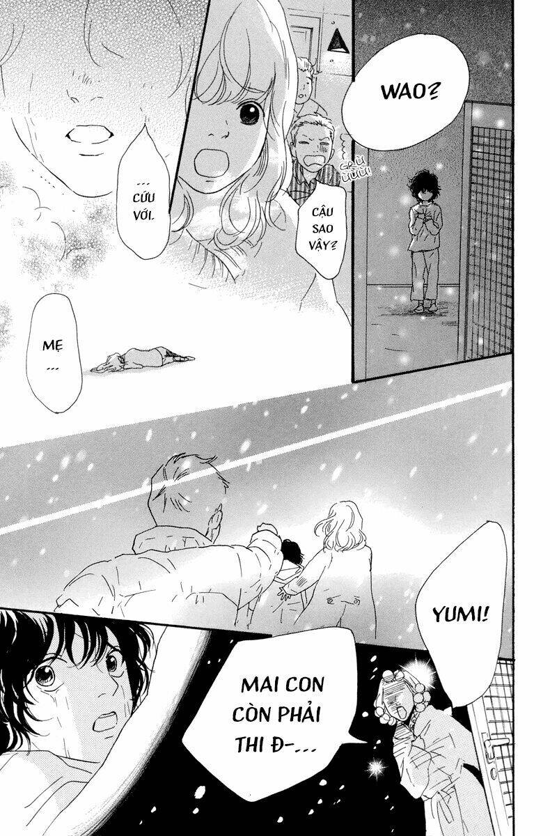 Principal: Chapter 11