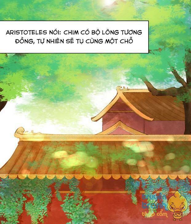 Trọng Sinh Để Ngủ Với Ảnh Đế: Chapter 13