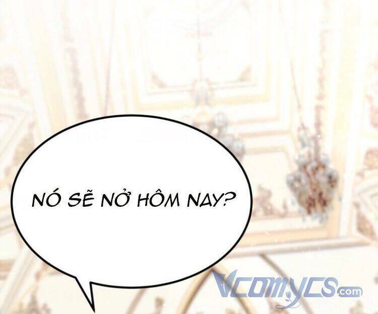 Baby Dragon: Chapter 1