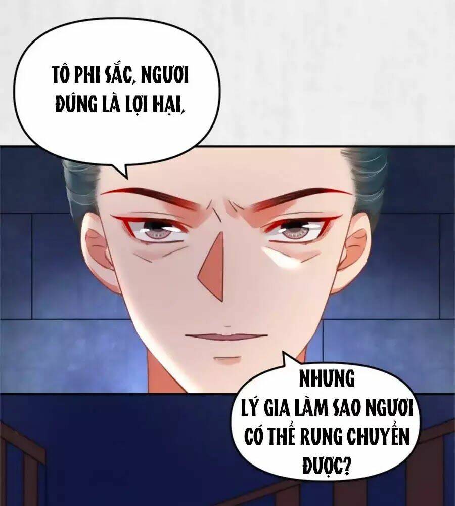 Hoạn Phi Hoàn Triều: Chapter 48