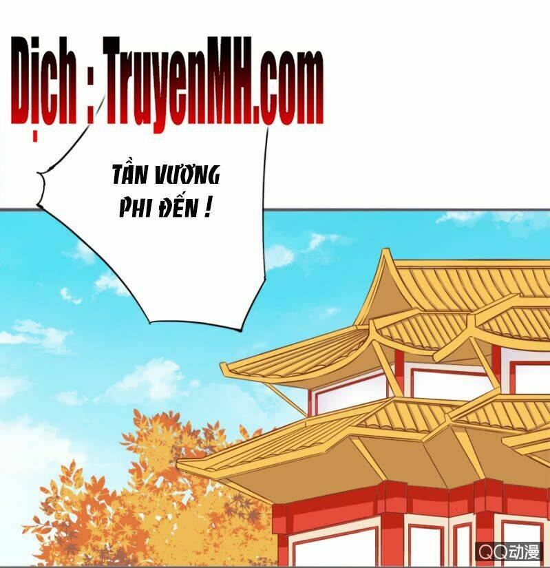 Solo Đi Vương Gia: Chapter 81