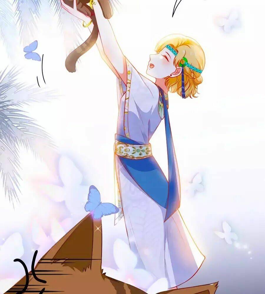 Sủng Hậu Của Vương: Chapter 6