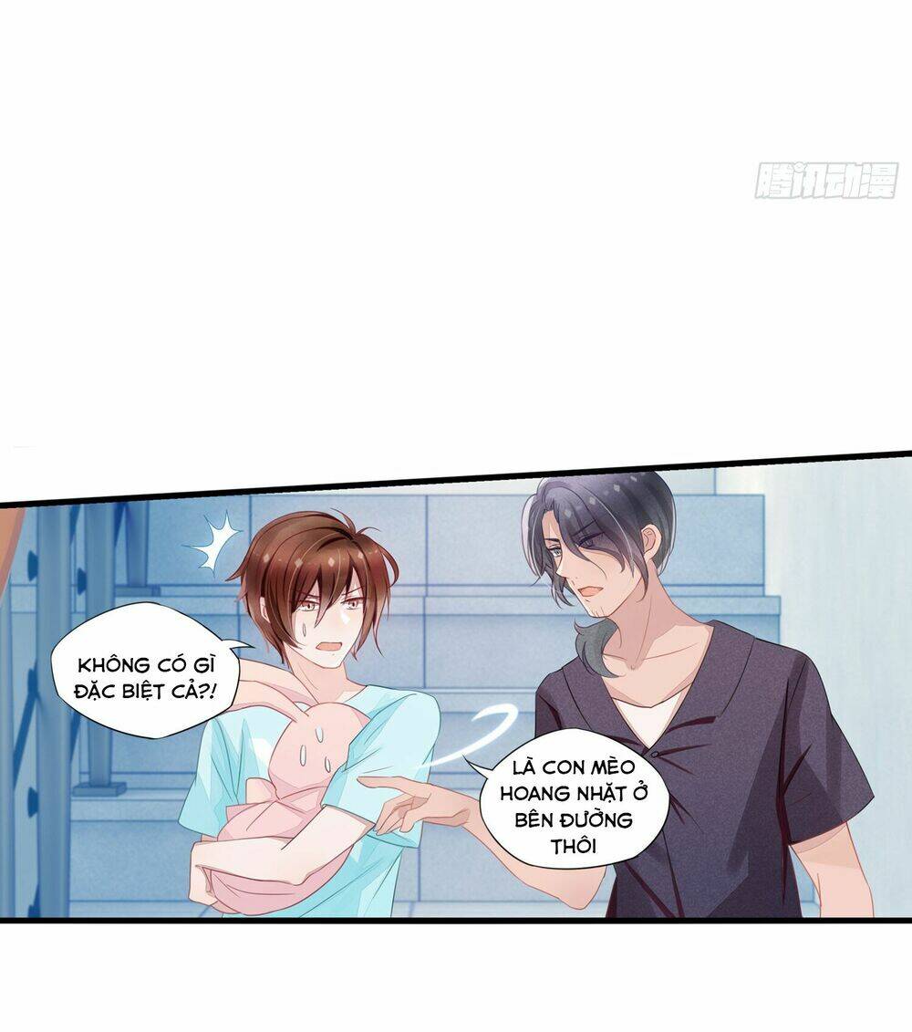 Làm Mèo Của Ta: Chapter 4