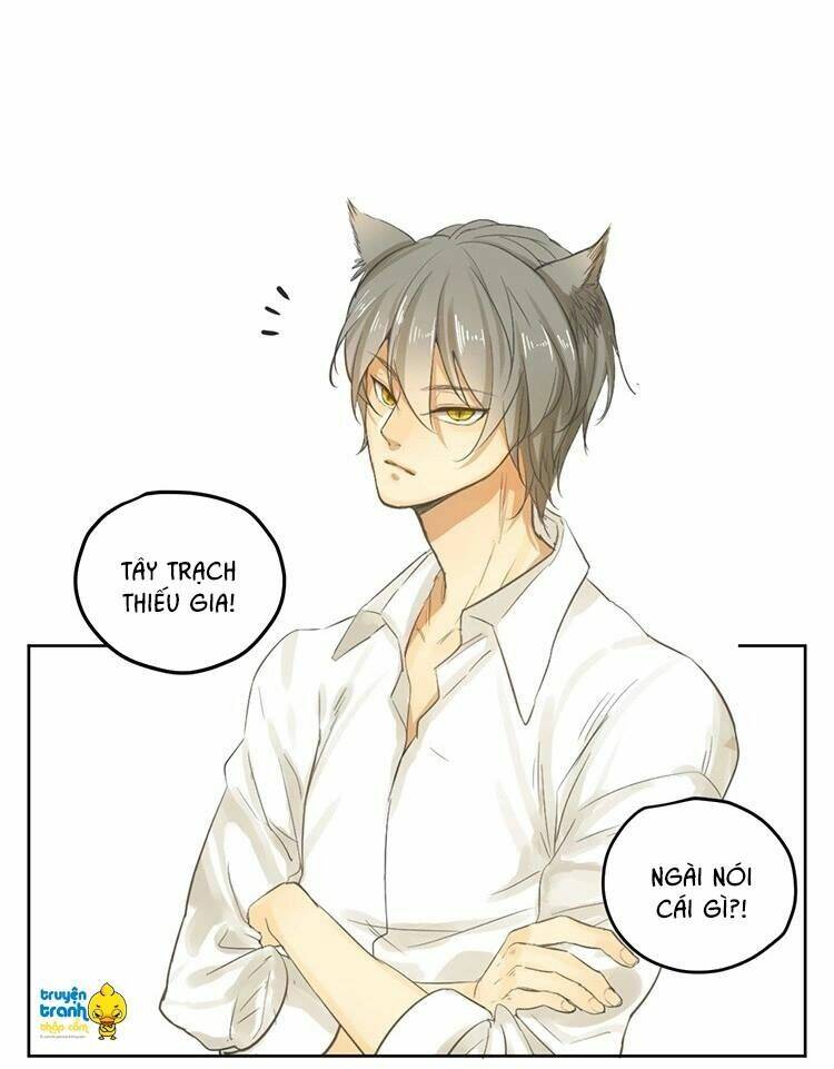 Cứu Mạng! Loài Mèo Thống Trị Thế Giới Rồi!: Chapter 19