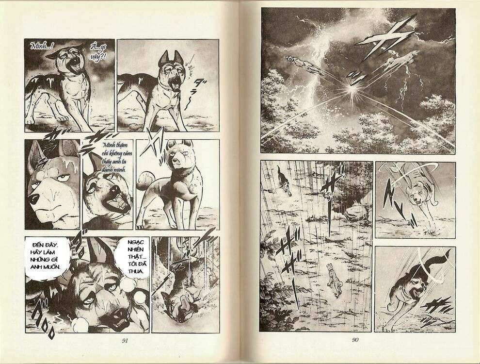 Chú Chó Có Nghĩa - Ginga Nagareboshi Gin: Chapter 15