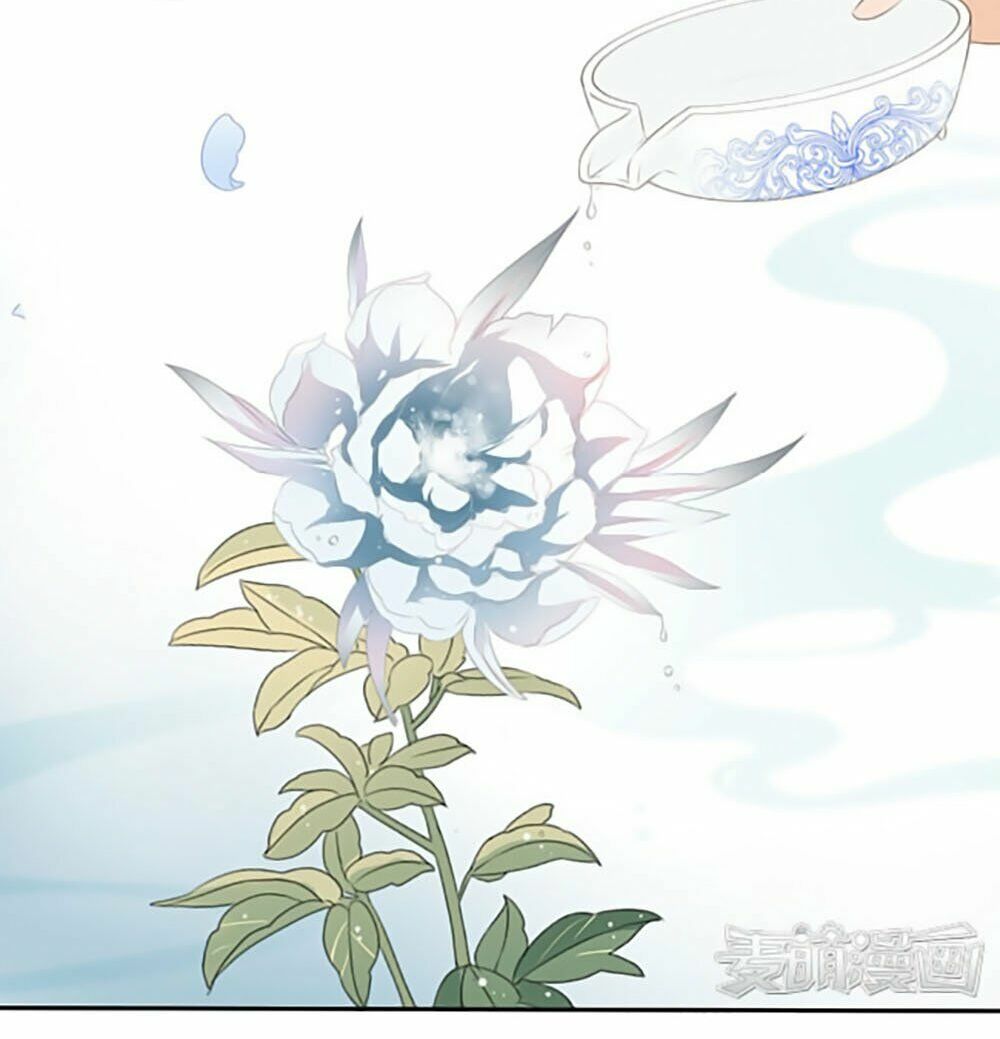 Quy Tự Dao: Chapter 17