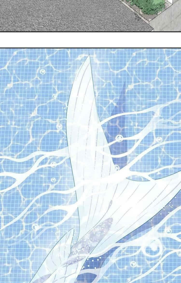 Bộ Váy Của Nhân Ngư: Chapter 6