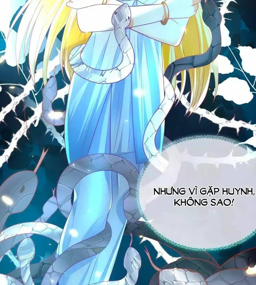 Sủng Hậu Của Vương: Chapter 74