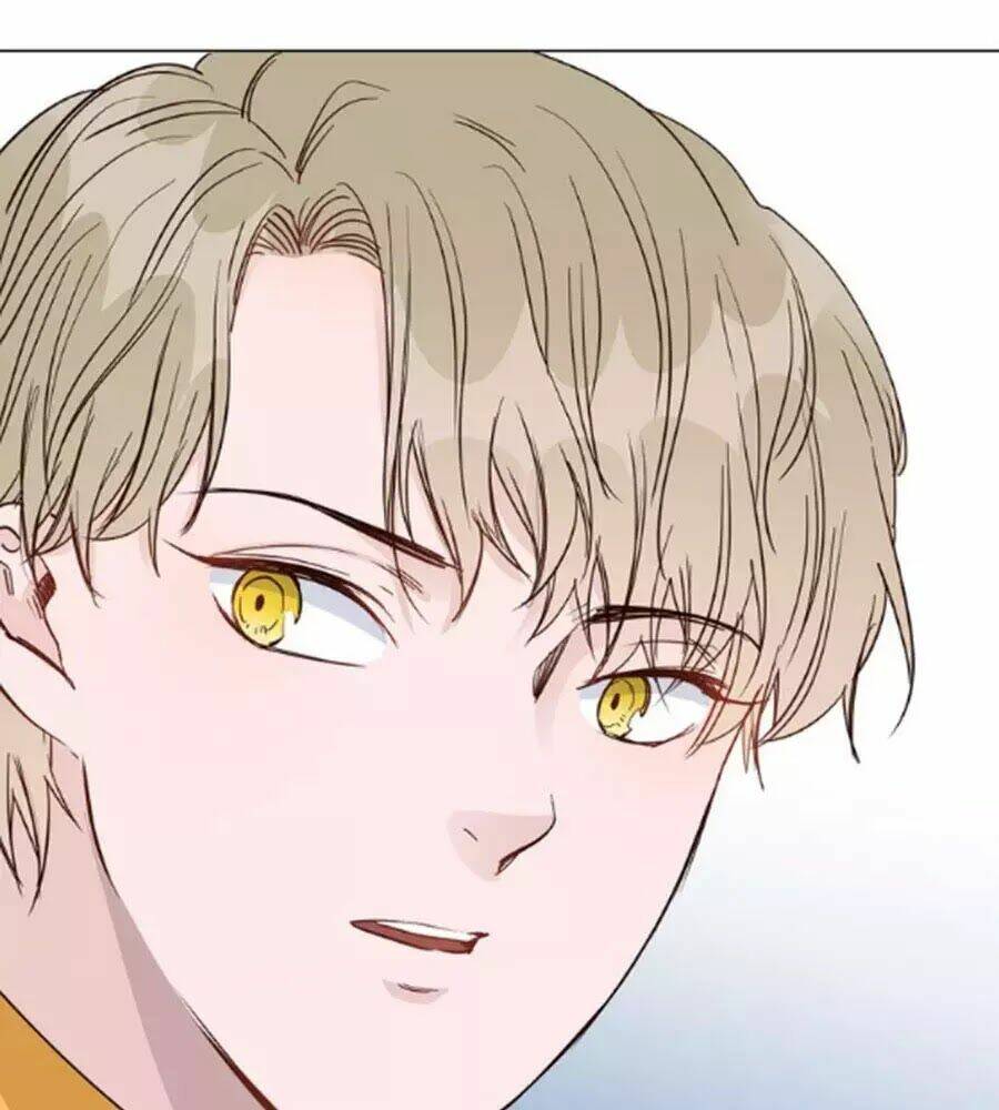 Ngôi Sao Vụn Vỡ: Chapter 44