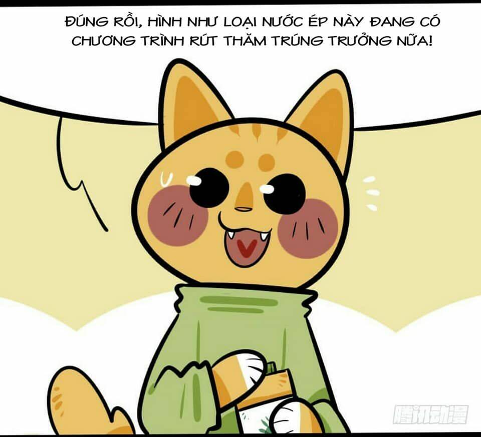 Đời Không Như Mình Tưởng: Chapter 16
