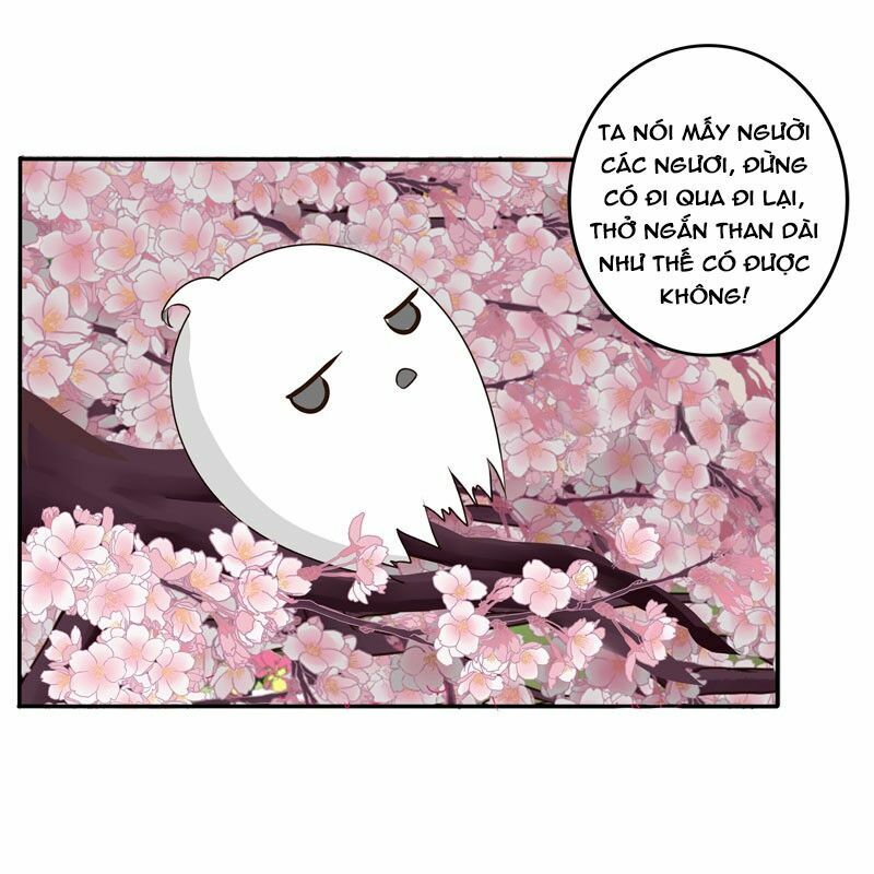 Thông Linh Phi: Chapter 66