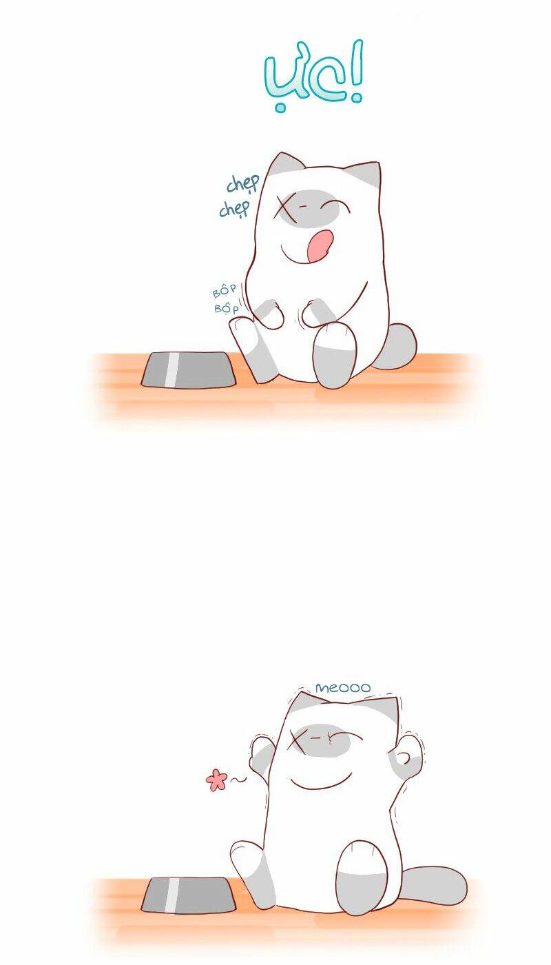 Saphie: Chú mèo một mắt: Chapter 4