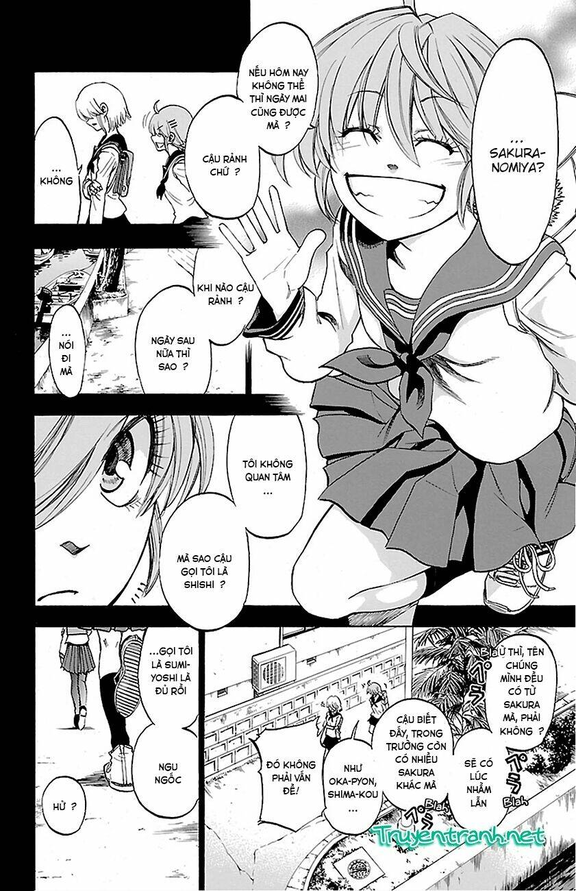 Sakura Discord: Chapter 5