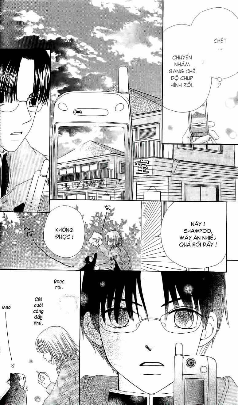 Dự Án Kéo Vàng: Chapter 15