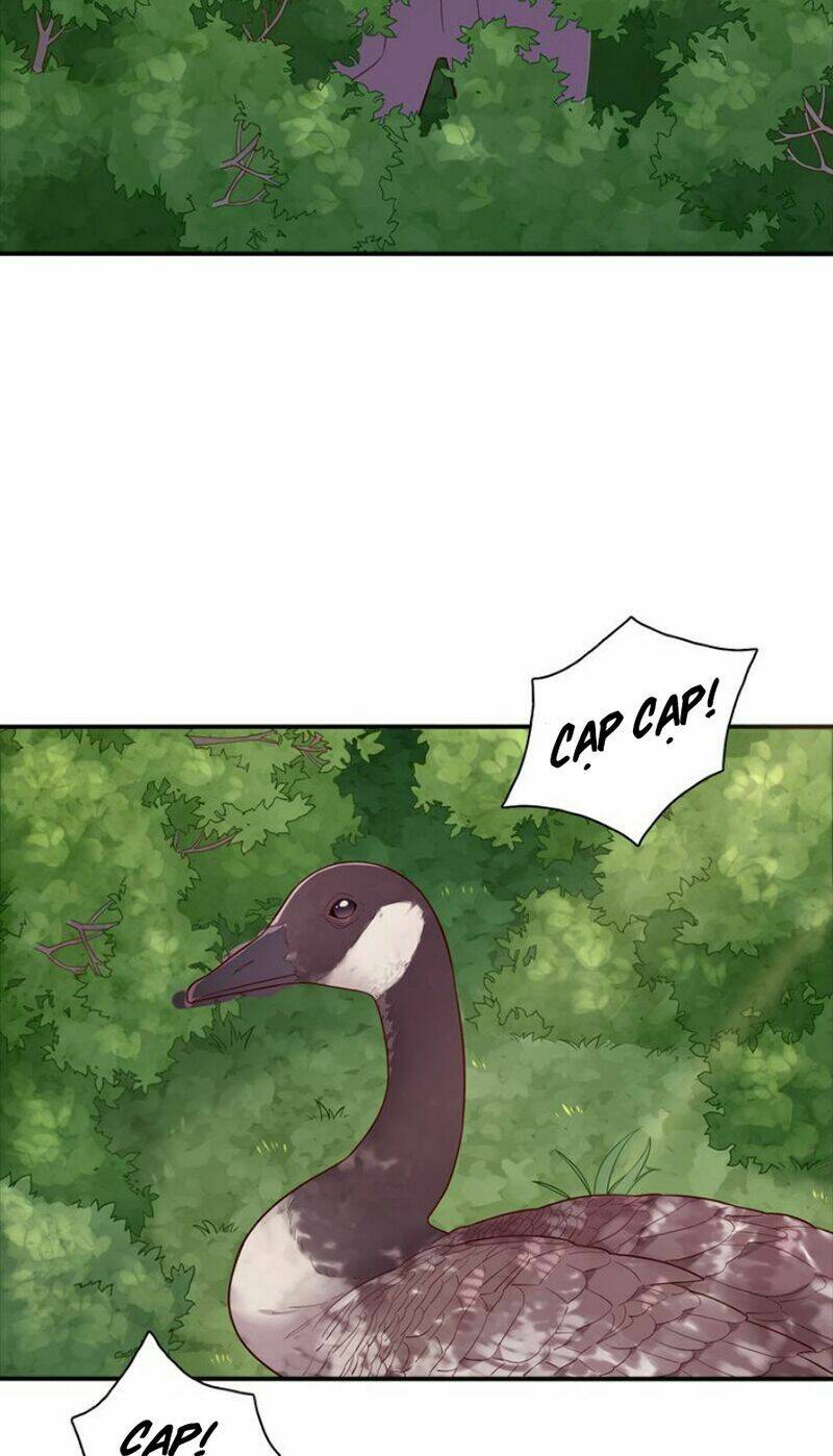 Vương Tử Thành Phố Và Công Chúa Amazon: Chapter 57