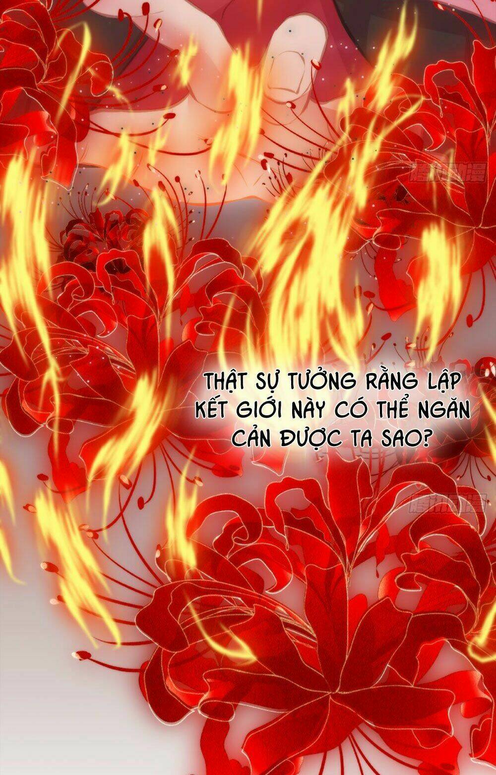 Trẫm Quyết Định Giải Tán Hậu Cung: Chapter 6