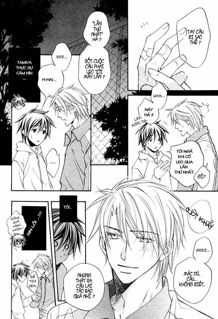 Chuyện Tình Của Toono Và Tamiya: Chapter 7