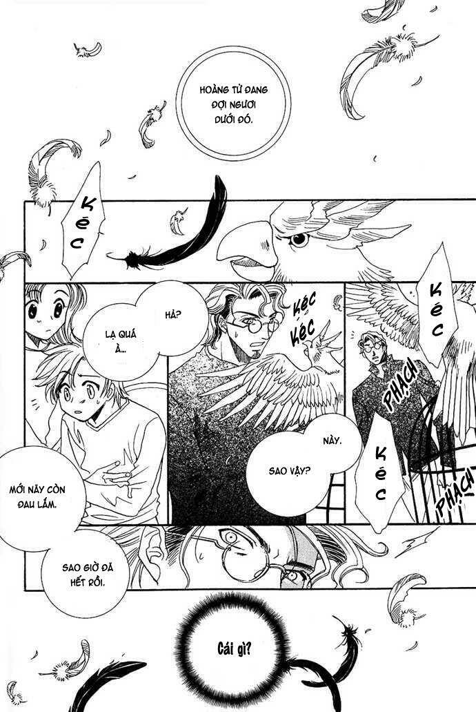 Innocent Bird: Chapter 3